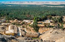 Private Tour to Fayoum Whales Valley & Wadi El Rayan from Cairo