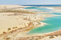 Private Tour to Fayoum Whales Valley & Wadi El Rayan from Cairo
