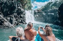 Ile Aux Cerfs & Grand Riviere Waterfall by Speed Boat with Lunch