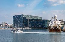 Private Reykjavik City Tour Exploring Iceland’s Capital