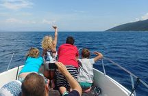Half day from Trogir or Split on a private boat
