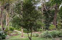 Private Experience in the Botanical Garden of Carthagena 