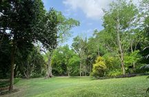 Private Experience in the Botanical Garden of Carthagena 