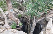 Full-Day Ancient Cenotes Homún from Mérida