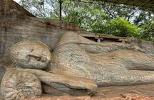 9 Day Sri Lanka Private Tour for the First Timers with 3*Hotels