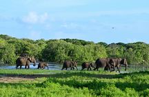 9 Day Sri Lanka Private Tour for the First Timers with 3*Hotels