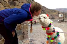 Colca Canyon Plus