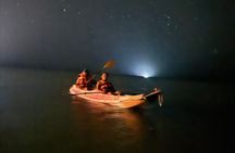 Holbox Kayak Bioluminescence Experience