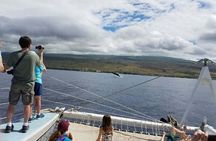  Wake up with the Whales Cruise from Kawaihae Harbor