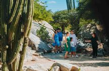 Full-Day Aruba History and Must-See Landmarks Tour