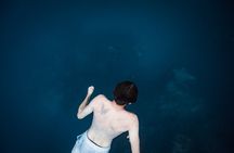 An Eagle Ray and Turtle Tour-Small Groups & Photography Included