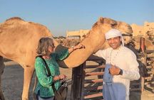 Al Ain Premium Day Trip from Dubai: Cultural Forts & Scenic Views