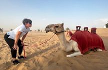 Abu Dhabi Desert Safari Tour with Shows & Buffet Dinner
