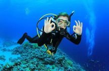 Alanya Scuba Diving With Lunch and Transfer 