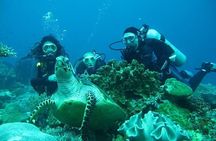 Side Scuba Diving with Transfer and Lunch