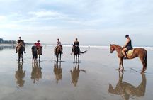1 hour Bali Horse Riding saba beach