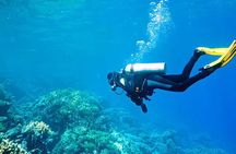 Alanya Scuba Diving With Lunch and Transfer 