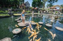 Bali a Hidden Gems Tirta Gangga Taman Ujung and Cepung Waterfall