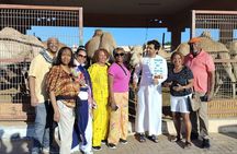 Al Ain Premium Day Trip from Dubai: Cultural Forts & Scenic Views