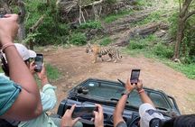 Ranthambore Tiger Reserve Private Gypsy Safari All inclusive 