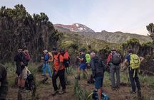 Best 1# day Kilimanjaro trek Machame with Kilinge Adventure 