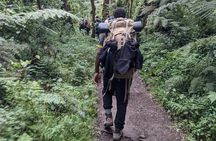 Best 1# day Kilimanjaro trek Machame with Kilinge Adventure 