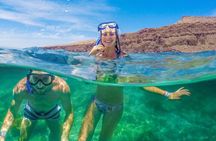 Espíritu Santo Island: snorkel SEA LIONS and Balandra Small Group
