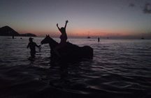 2 Hour Horseback Riding Sunset Tour with Dore's Riding Stable