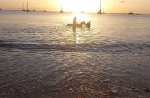 2 Hour Horseback Riding Sunset Tour with Dore's Riding Stable
