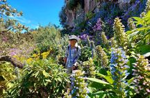 Wanderungen im grünen Gran Canaria