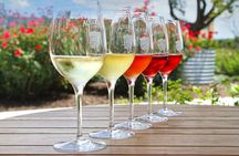  Historical Walking Food & Wine Funk Zone Santa Barbara Tour
