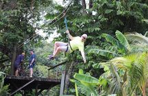 Super Man Zip Line & Wildlife Combo Tour