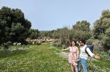 Llogara Caesar's Path,Orikum Park & Marmiroi Church Guided Tour