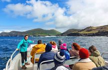 The Valentia Island Experience
