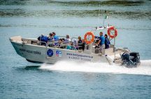 The Valentia Island Experience