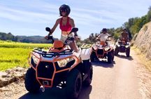 Quad BikeTour with Cliff Jumping and Snorkeling
