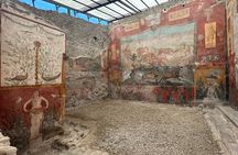 Pompeii and Vesuvius Tour from Positano Small Group