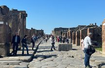 Pompeii and Vesuvius Tour from Positano Small Group