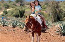Jungle and Beach Horseback ride Tour in Pacific Coast