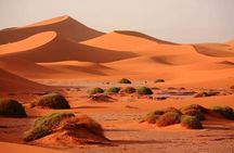 3-Day Sahara Adventure from Fes to Marrakech 