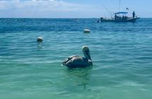 Akumal Bay snorkeling, plus 3 cenotes and great food