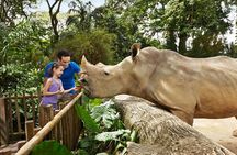 Singapore Zoo 