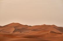 Abu Dhabi Desert Safari Tour with Shows & Buffet Dinner