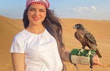 Dubai Desert Safari Tour