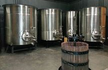 Private Willamette Valley Wine Tasting Tour