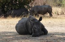 Exclusive Game Drive & White Rhino Safari in Livingstone Zambia