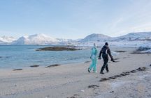 Arctic Roadtrip: fjords with scenic picnic | Small group 4x4 Van