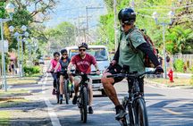 Private Tour on E-Bike: Discover El Valle de Anton