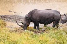 Hluhluwe Imfolozi Park Excursion