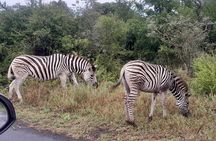 Hluhluwe Imfolozi Park Excursion